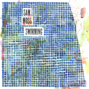 Swimming: Vinyl LP