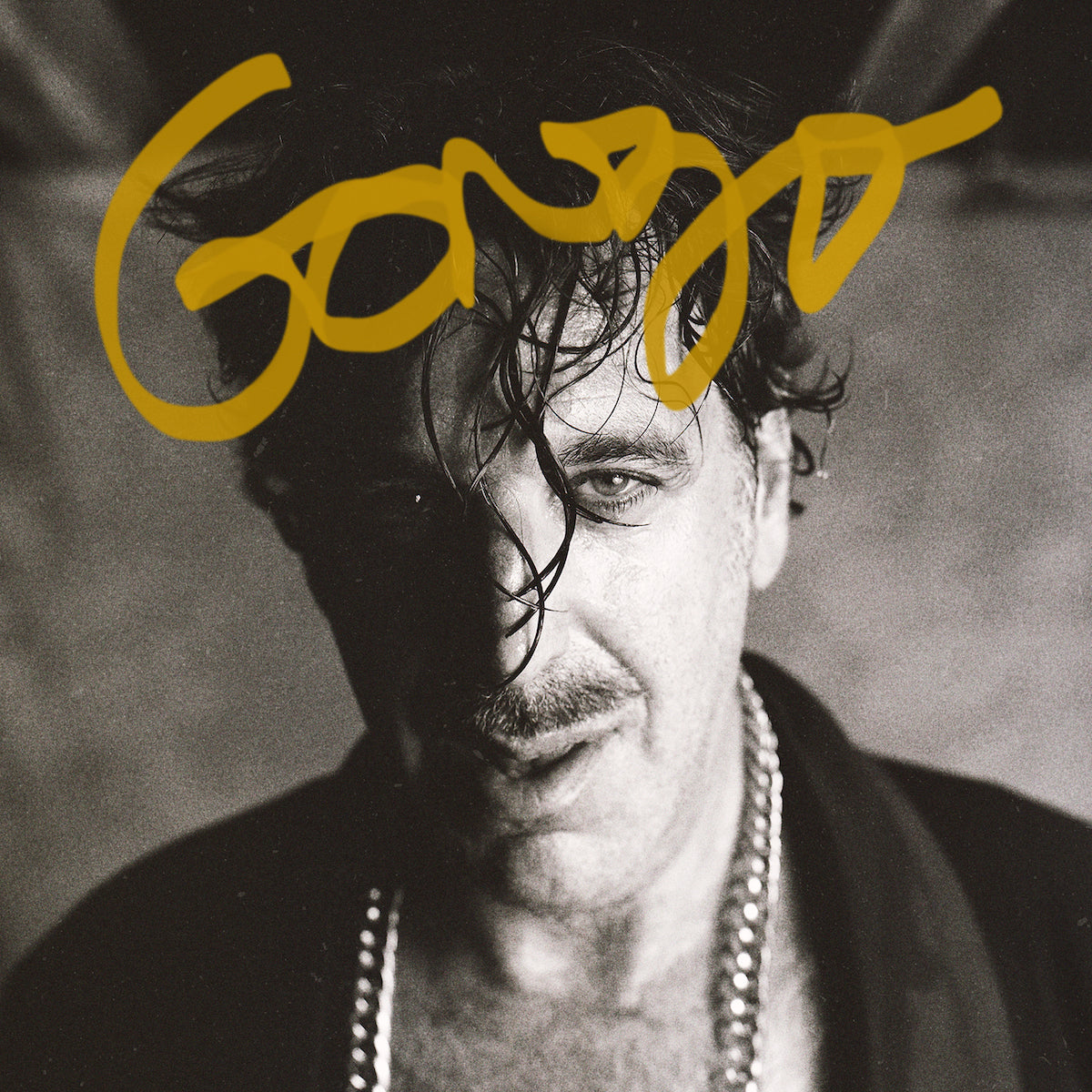 Gonzo: Vinyl LP