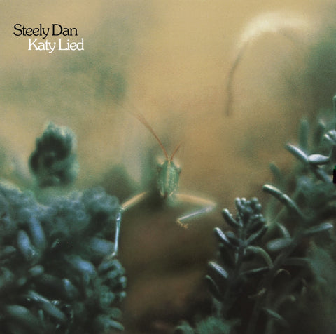 Katy Lied: Vinyl LP