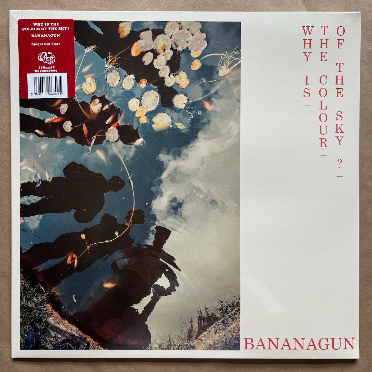 Why is the Colour of the Sky?: Opaque Red Vinyl LP