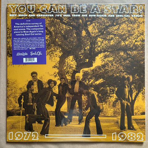 You Can Be A Star (Deep Disco & Soul 1972-1982): Vinyl LP