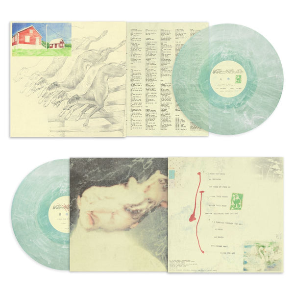 I Heard That Noise: Mint Green Vinyl LP