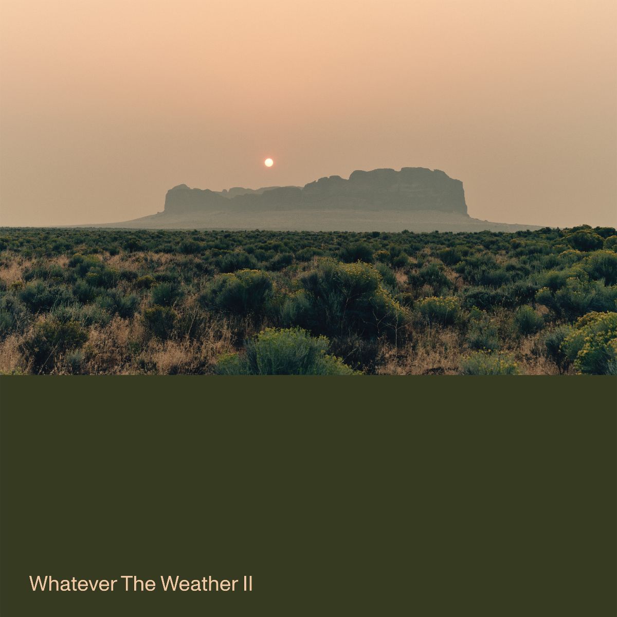 Whatever the Weather II: Dark Green Vinyl LP